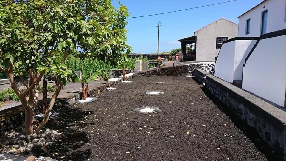 Azores Black Mountain House, Estúdio e T2 Ilha do Pico São Roque do Pico Exterior foto